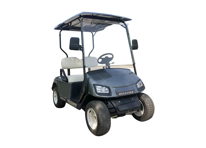 ¿Cómo personalizar un carrito de golf de 2 plazas?