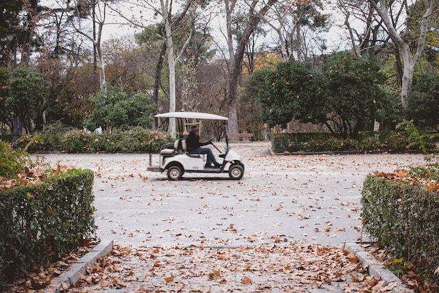 Diversión familiar: Carros de 2 plazas para ocio y vinculación